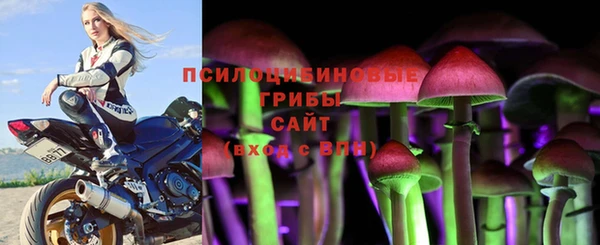 а пвп мука Алзамай