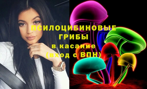 а пвп мука Алзамай