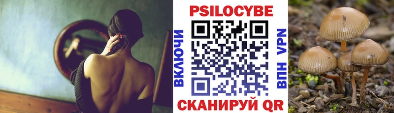 Псилоцибиновые грибы Psilocybe  купить наркотики цена  Заозёрный 